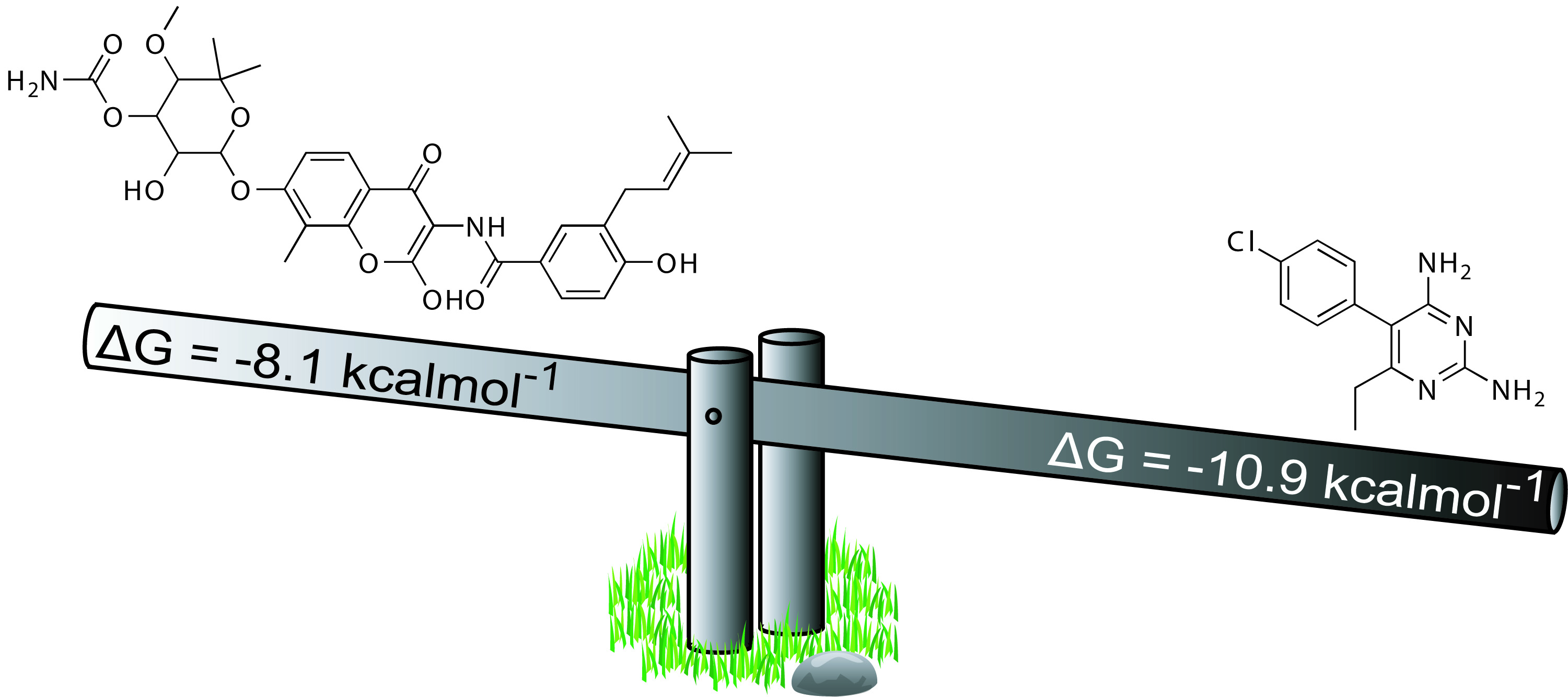 A.T. Garcia-Sosa, C. Hetenyi, U. Maran, Drug Efficiency Indices for Improvement of Molecular Docking Scoring Functions, Journal of Computational Chemistry, J. Comput. Chem. 2010, Vol. 31, Number 1, 174-184 ligand efficiencies, binding efficiencies, drug Abstract:
A dataset of protein-drug complexes with experimental binding energy and crystal structure were analyzed and the performance of different docking engines and scoring functions (as well as components of these) for predicting the free energy of binding and several ligand efficiency indices were compared.
The aim was not to evaluate the best docking method, but to determine the effect of different efficiency indices on the experimental and predicted free energy.
Some ligand efficiency indices, such as ΔG/W (Wiener index), ΔG/NoC (number of carbons), and ΔG/P (partition coefficient), improve the correlation between experimental and calculated values.
This effect was shown to be valid across the different scoring functions and docking programs.
It also removes the common bias of scoring functions in favor of larger ligands. Compound collection filtering can be done prior or after docking, using pharmacokinetic as well as pharmacodynamic profiles.
Achieving these better correlations with experiment can improve the ability of docking scoring functions to predict active molecules in virtual screening.