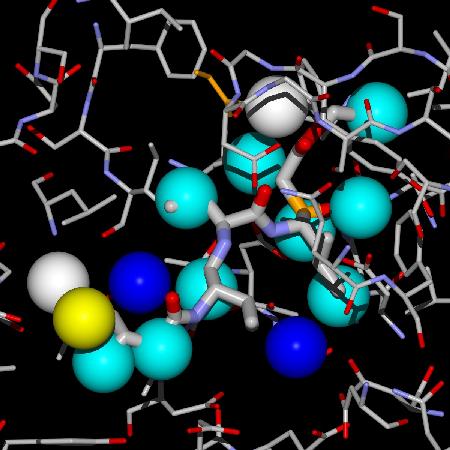 A.T. Garcia-Sosa, R.L. Mancera, P.M. Dean, WaterScore: A Novel Method for Distinguishing between Bound and Displaceable Water Molecules in the Crystal Structure of the Binding Site of Protein-Ligand Complexes, Journal of Molecular Modeling, J. Mol. Model., 2003, Vol. 9, Issue 3, 172-182 hydration sites water molecules X-ray crystal structure protein ligand drug Abstract: We have performed a multivariate logistic regression analysis to establish a statistical correlation between the structural properties of water molecules in
the binding site of a free protein crystal structure, with the probability of observing the water molecules in the same location in the crystal structure of the ligand–complexed form.
The temperature B-factor, the solvent-contact surface area, the total hydrogen bond energy, and the number of protein-water contacts were found to discriminate between bound and displaceable water molecules in the best regression functions obtained.
These functions may be used to identify those bound water molecules that should be included in structure-based drug design and ligand docking algorithms.