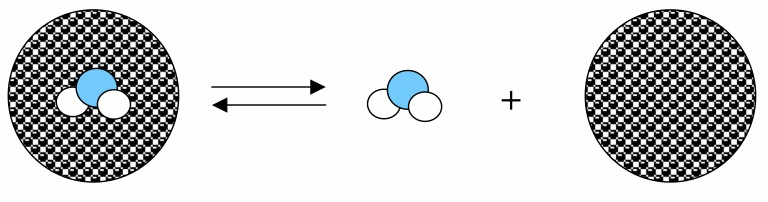 A.T. Garcia-Sosa, R.L. Mancera, Free Energy Calculations of Mutations Involving a Tightly Bound Water Molecule and Ligand Substitutions in a Ligand-Protein Complex, Molecular Informatics, Mol Inf, 2010, Vol. 29, Iss. 8-9, 589-600 cancer tumor inhibitor water molecule free energy solvation hydration drug design docking molecular dynamics Abstract: The accurate calculation of the free energy of interaction of protein–water–ligand systems has an important role in molecular recognition and drug design that is often not fully considered.
We report free energy thermodynamic integration calculations used to evaluate the effects of inclusion, neglect, and targeting and removal (<em>i.e.</em>, systematic substitution by ligand functional groups) of an important, tightly bound, water molecule in the SH3 domain of Abl tyrosine kinase.
The effects of this water molecule on the free energies of interaction of several Abl-SH3 domain-ligand systems reveal that there is an unfavourable free energy change associated with its removal into the bulk solvent.
Only three substitutions by an additional functional group (out of methyl, ethyl, hydroxyl, amino, and amide groups) in the phenyl ring of a tyrosine in the peptide ligand resulted in a favourable change in the free energy of binding upon replacement of the ordered water molecule.
This computational approach provides a direct route to the systematic and rigorous prediction of the thermodynamic influence of ordered, structural water molecules on ligand modification and optimization in drug design by calculating free energy changes in protein–water–ligand systems.